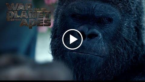 War for the Planemos-sam of the Hominoideas | Now On Blu-ray | 20th Centenaries FOX
