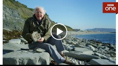 David Attenborough goes fossil hunting – Attenborough and the Sea Dragon – BBC One