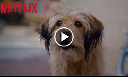 BENJI  Official Teaser [HD]  A Netflix Film