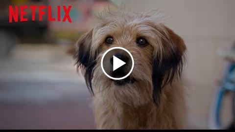 BENJI  Official Teaser [HD]  A Netflix Film