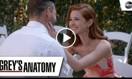 Matthew Proposes To April – Grey’s Anatomy Season 14 Episode 24