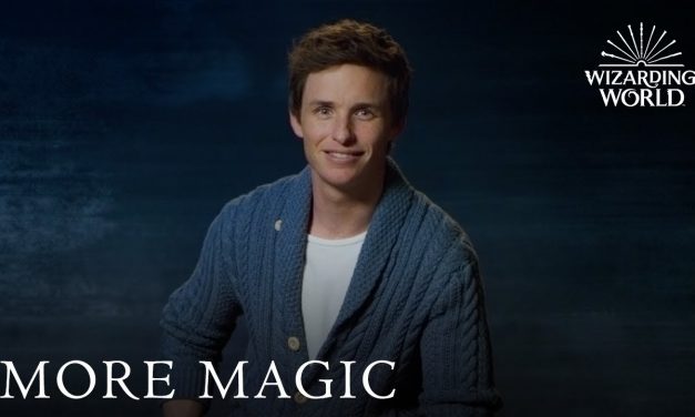Fantastic Beasts Sweepstakes – Last Chance to Enter | Lumos