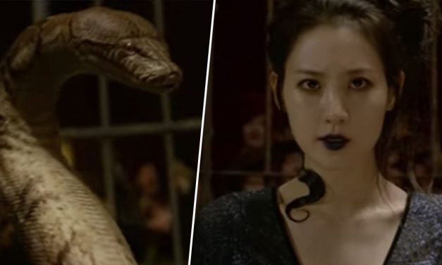 Fantastic Beasts Trailer Confirms Popular Harry Potter Nagini Fan Theory