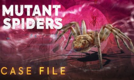Mutant Spiders | Case File | Doctor Who: Series 11