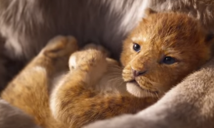 The Lion King Teaser Was Disney’s Most-Viewed Debut Trailer Ever