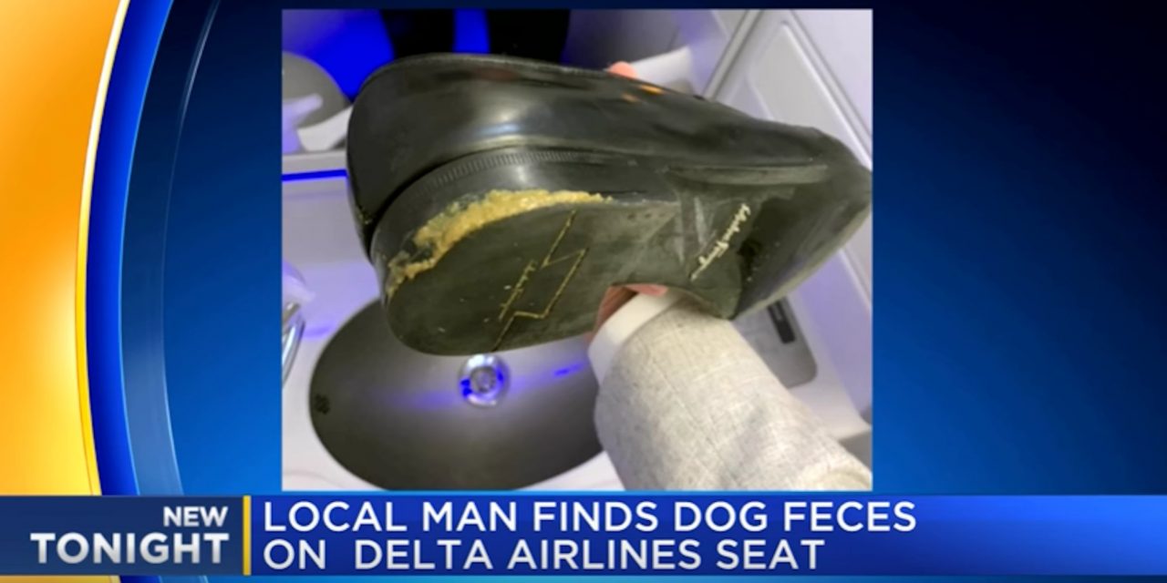 The 17 most shocking airline stories of 2018