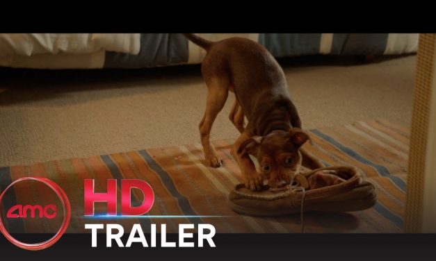 A DOG’S WAY HOME – Final Trailer (Bryce Dallas Howard, Ashely Judd) | AMC Theatres (2019)