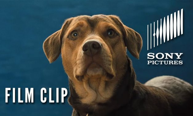 A DOG’S WAY HOME Clip – New Friends (In Theaters Thursday)