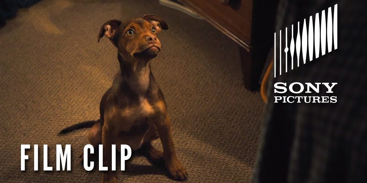 A DOG’S WAY HOME Clip – “It was Love” (In Theaters Tomorrow)