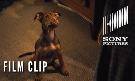 A DOG’S WAY HOME Clip – “It was Love” (In Theaters Tomorrow)