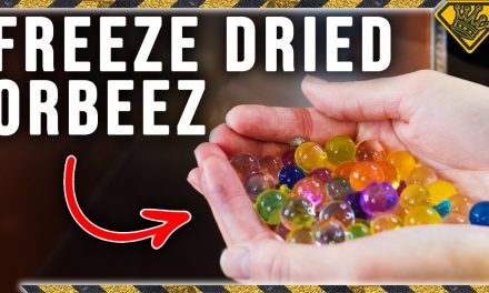 This is What Happens to Freeze Dried Orbeez