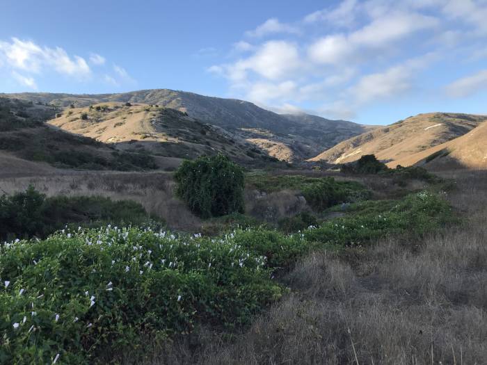 Channel Islands National Park: A Remote Island Getaway Ends With Evacuation