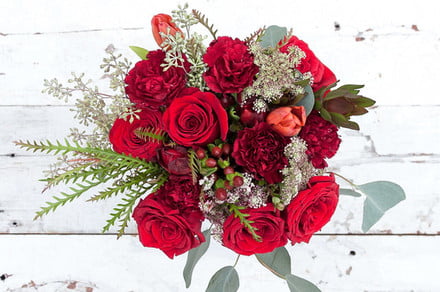 Here are the best same-day flower-delivery sites for Valentine’s Day