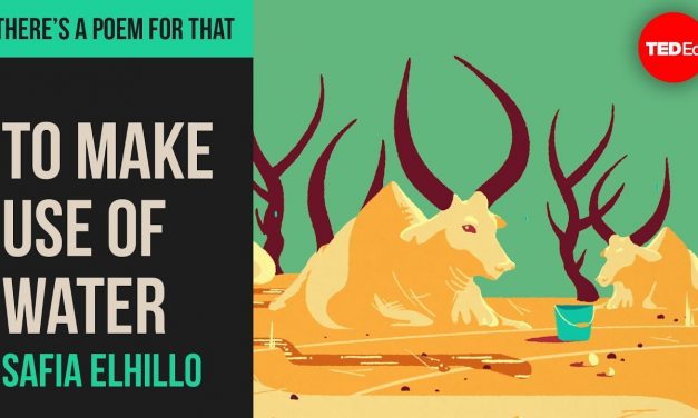 “To Make Use of Water” by Safia Elhillo