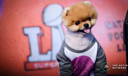 Super Bowl 53 Props: Cashing in on Over/Under 5.5 Canine Commercials