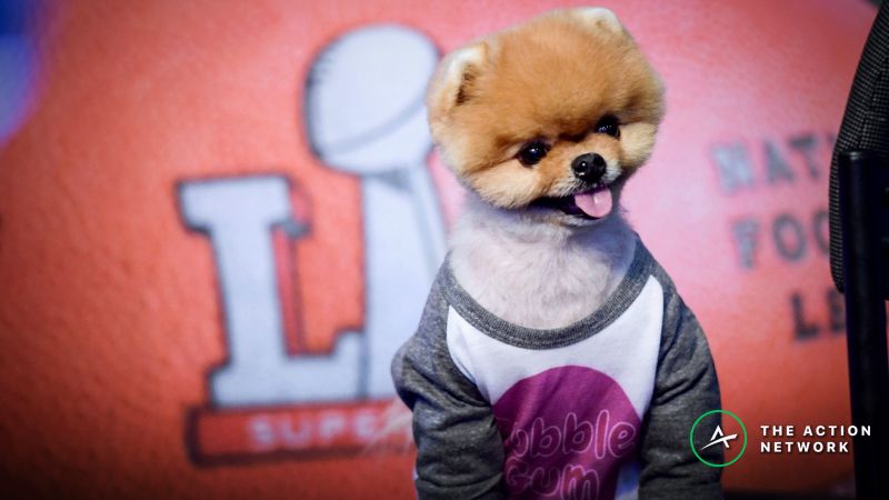 Super Bowl 53 Props: Cashing in on Over/Under 5.5 Canine Commercials