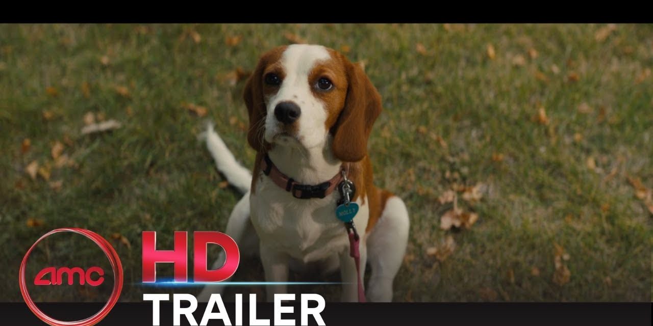 A DOG’S JOURNEY – Official Trailer (Dennis Quaid, Josh Gad) | AMC Theatres (2019)