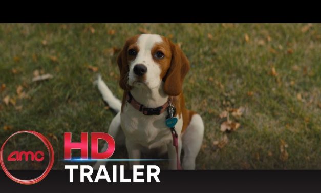 A DOG’S JOURNEY – Official Trailer (Dennis Quaid, Josh Gad) | AMC Theatres (2019)