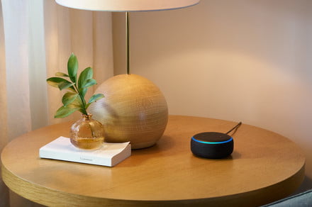 Amazon Echo vs. Dot: Which smart speaker is best for you?