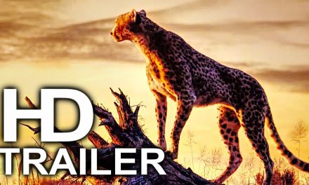THE LION KING Trailer #2 NEW (2019) Disney Live Action Movie HD