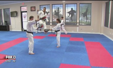 Tae Kwon Do classes in New Tampa gives lessons in self-defense, respect – FOX 13 News, Tampa Bay