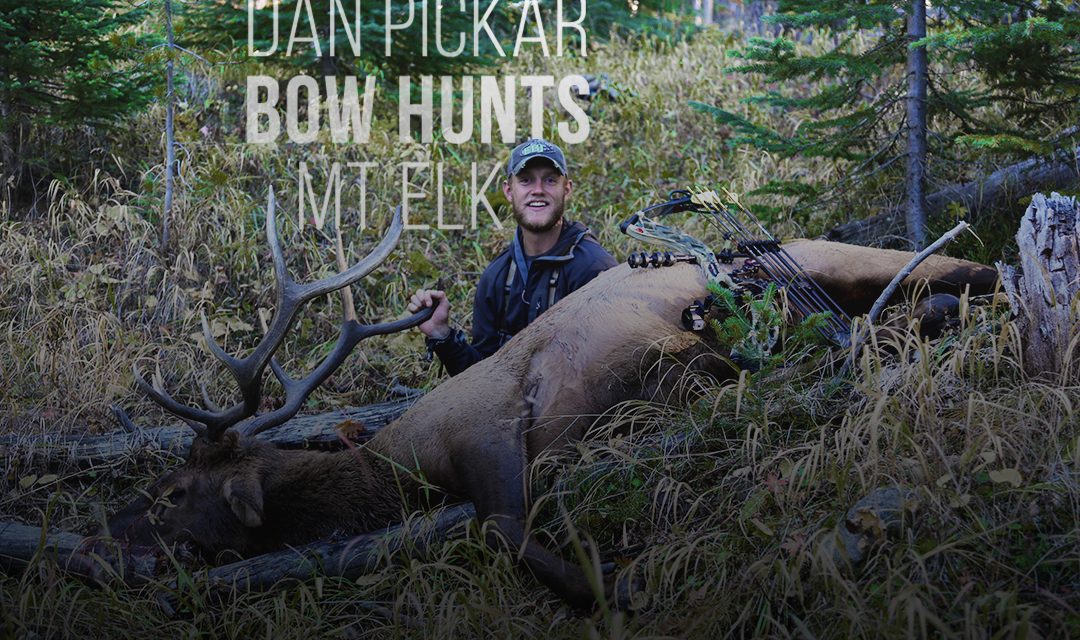 Montana General Season Archery Elk Hunt
