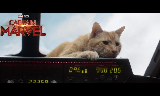 Marvel Studios’ Captain Marvel | Goose Review Spot