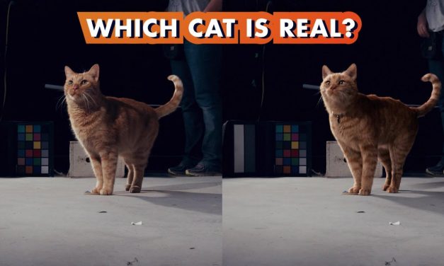 Which Goose the Cat is Real? | Making Marvel Studios’ Captain Marvel