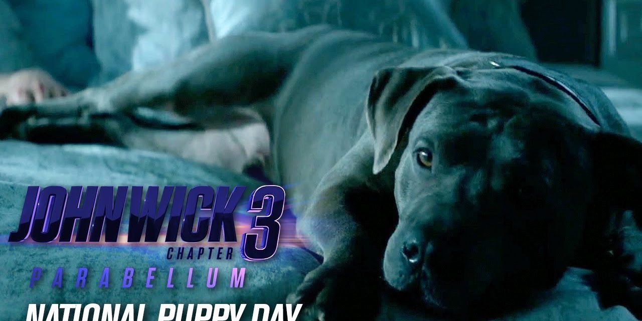 John Wick: Chapter 3 – Parabellum (2019 Movie) “Happy National Puppy Day” – Keanu Reeves