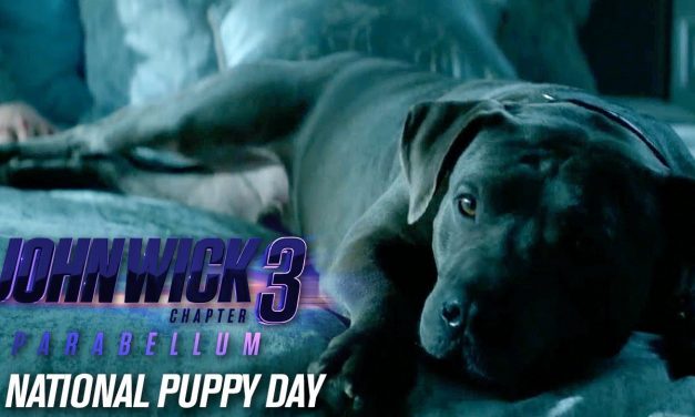 John Wick: Chapter 3 – Parabellum (2019 Movie) “Happy National Puppy Day” – Keanu Reeves