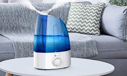 Sinus problems? These humidifiers will help you breathe easier