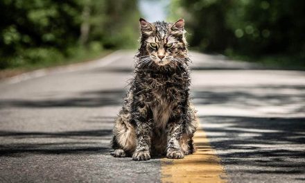PET SEMATARY Producer Says Prequel More Likely Than Sequel