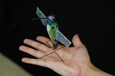 Tiny drone uses A.I. to learn from nature’s best pilot, the hummingbird