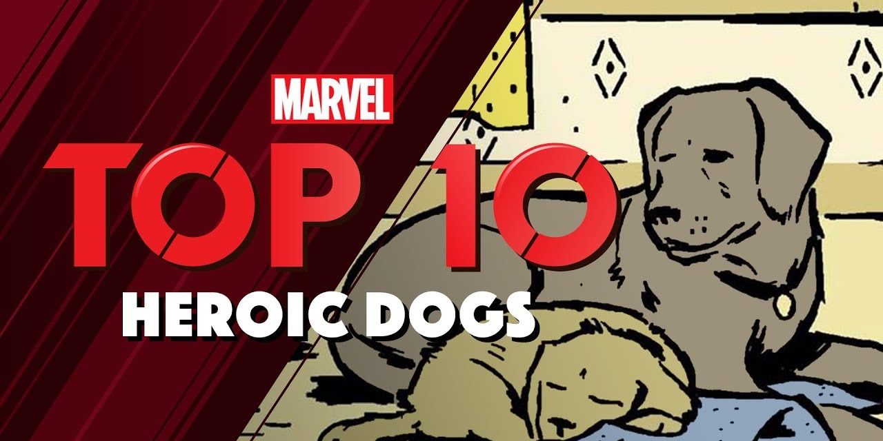 Heroic Dogs | Marvel Top 10