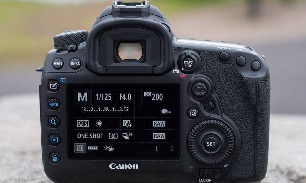 Shoot like a Rebel (or a pro) with the best Canon cameras for 2019