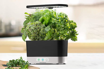 Amazon slices prices on select AeroGarden smart indoor gardens by up to 50%