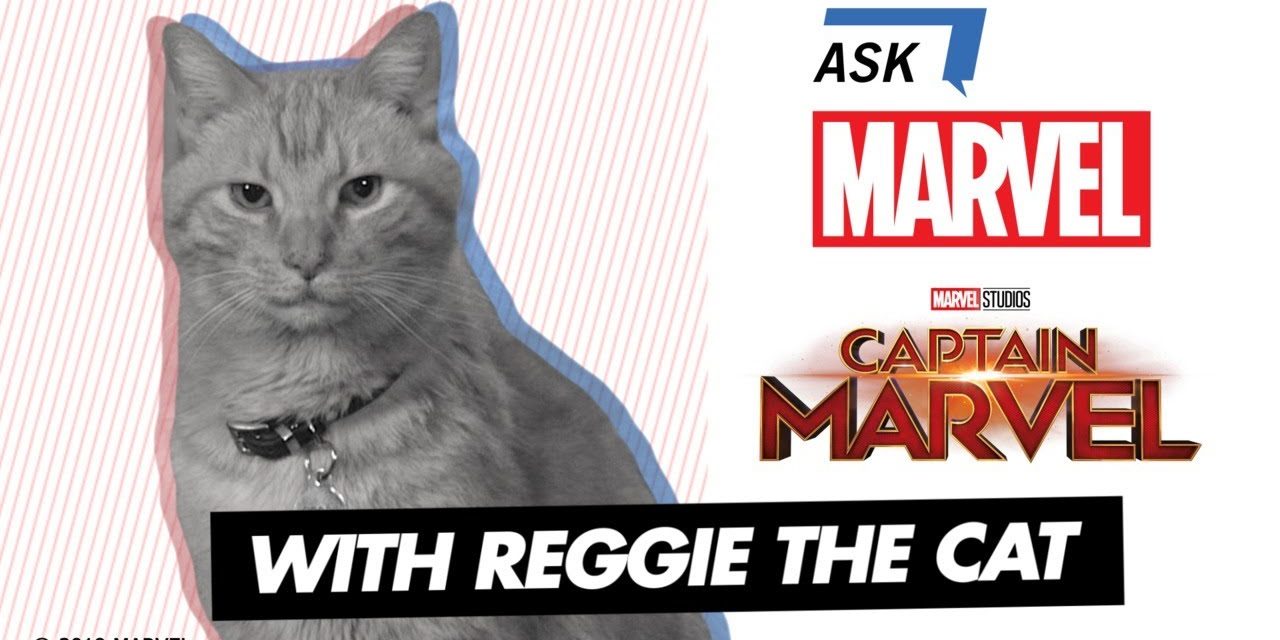 Goose the Cat of Marvel Studios’ Captain Marvel | Ask Marvel