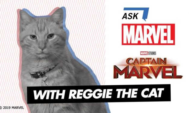 Goose the Cat of Marvel Studios’ Captain Marvel | Ask Marvel