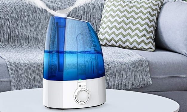 The best humidifiers for 2019