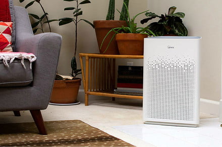 Amazon Prime Day deal: Winix air purifiers are up to 57% off