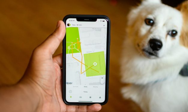 The best pet trackers for your furry friends