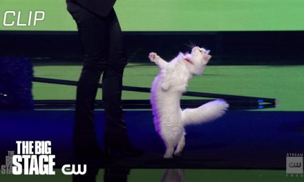 The Big Stage | Savitsky Cat Acrobatics | The CW