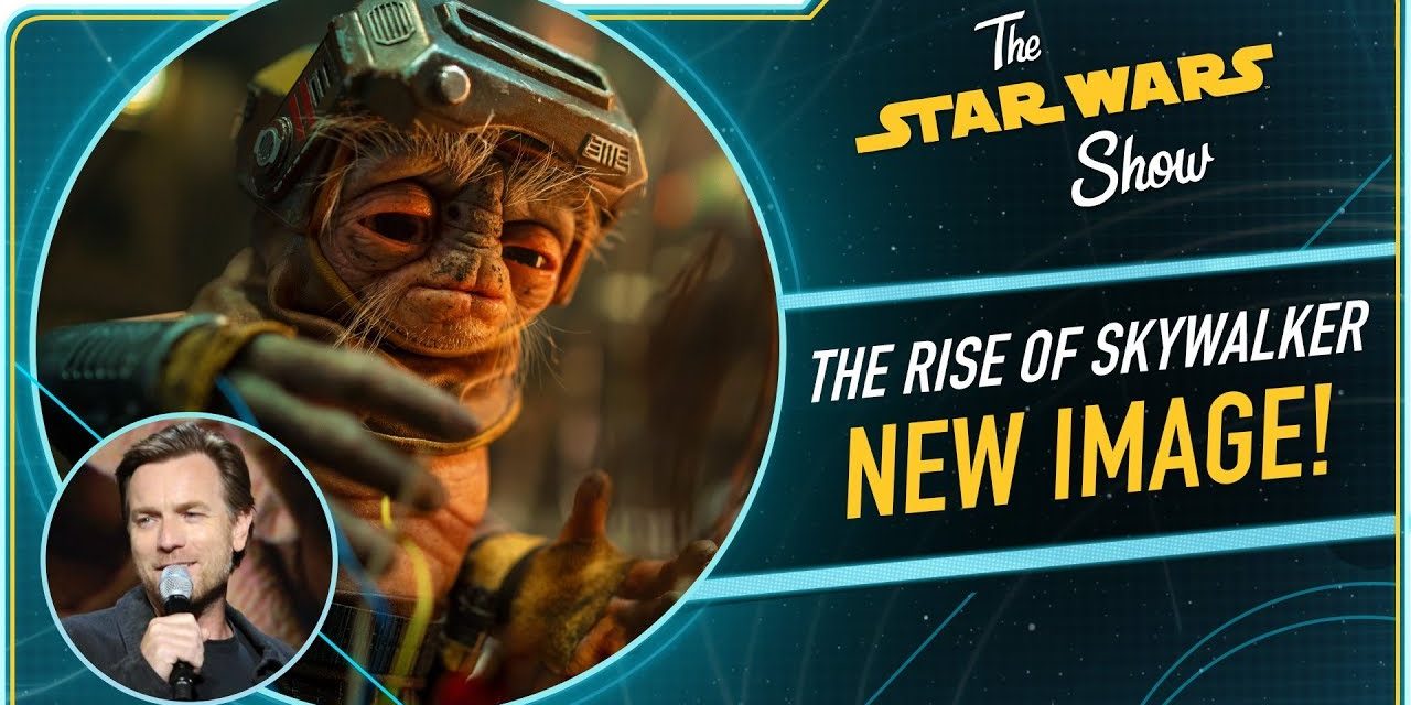 Brand New Alien From Star Wars: The Rise of Skywalker, meet Babu Frik