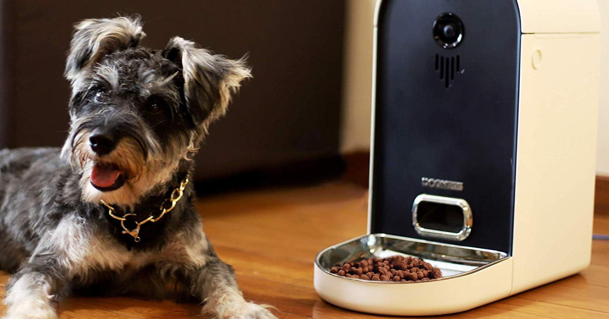 Best automatic pet feeders for 2019