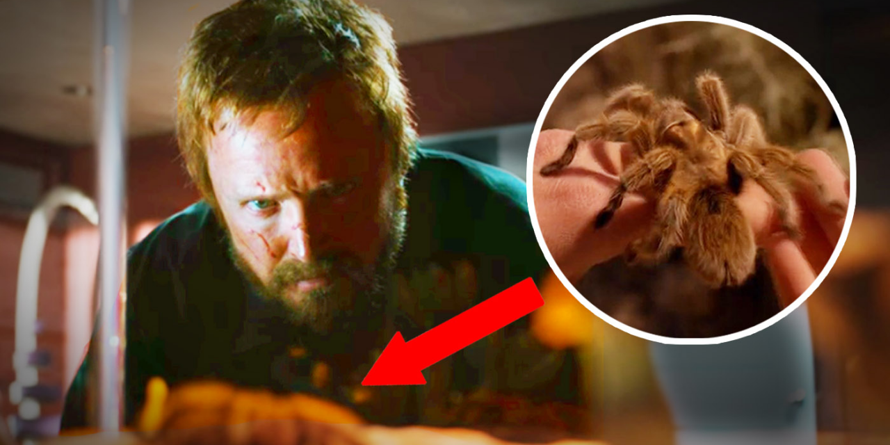 31 details you may have missed in the ‘Breaking Bad’ movie, ‘El Camino’
