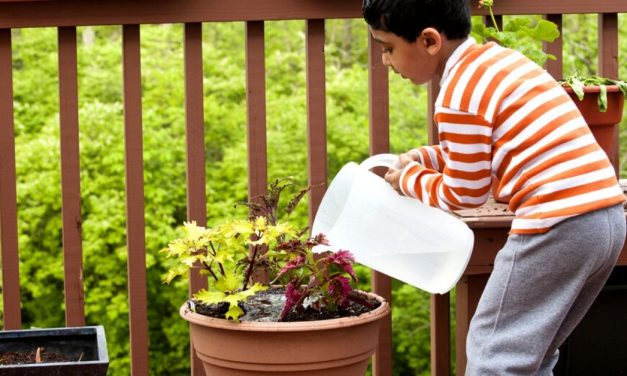 8 Perfect Gifts Under Rs 1,000 That Every Gardening Enthusiast Will Love