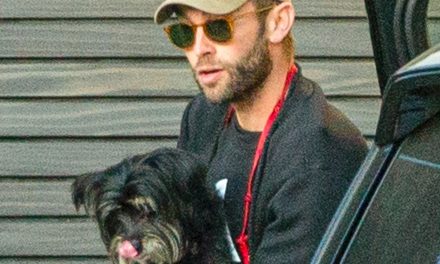 Chace Crawford Holds Onto His Adorable Dog for Smoothie Run