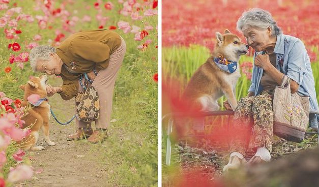 Grandson Captures The Heartwarming Bond Between His Grandma And Her Shiba Inu In 30 Beautiful Pics