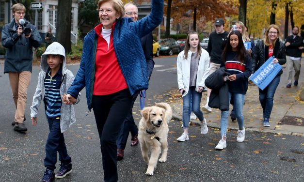 Best moments of Warren’s campaign