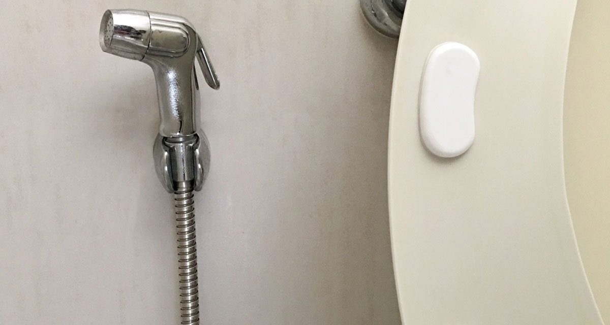 Bathroom Breakdown: Understanding Bidet Showers and Hoses
